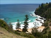 by petkat, Views[211]