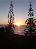 by petkat, Views[307]