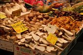 In Die Kleinmarkthalle market in Frankfurt, every peach or mushroom is the same size and the place is organized, highly sterile where the only noise is a
sound of a coffee machine from a near café shop. This only proves the rule that one good can be
sold in a different way and form in different countries and in this case and it is also showing the well known cultural mentality of Germans who always come on time, perfectly organized.: by petraz, Views[231]