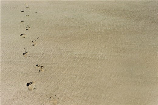 Footsteps in the sands