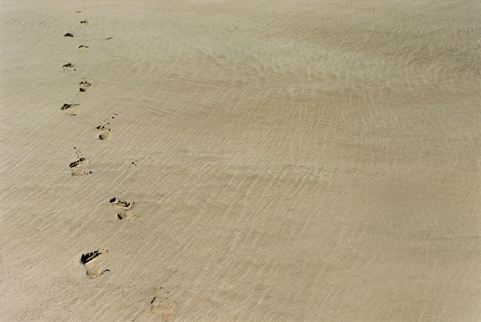 Footsteps in the sands