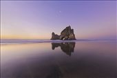 Wharariki Beach:
It takes about 20 to 30 minutes to arrive at Wharariki Beach, a compulsory walk from the carpark that stretches through farm paddocks and forest, but the coastline is one of the most beautiful and famous in the region.: by philiphuddy, Views[550]