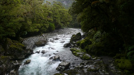 On one of the many trails taken on the way to Mt Cook we crossed this stream. Although beautiful clear and clean the winding stream disappearing into the mist and darkness seemed to have an element of foreboding and danger.