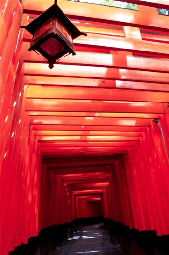A Guide Through the Shrine

The famous thousand-torii pathway of Fushimi Inari Taisha in Kyoto