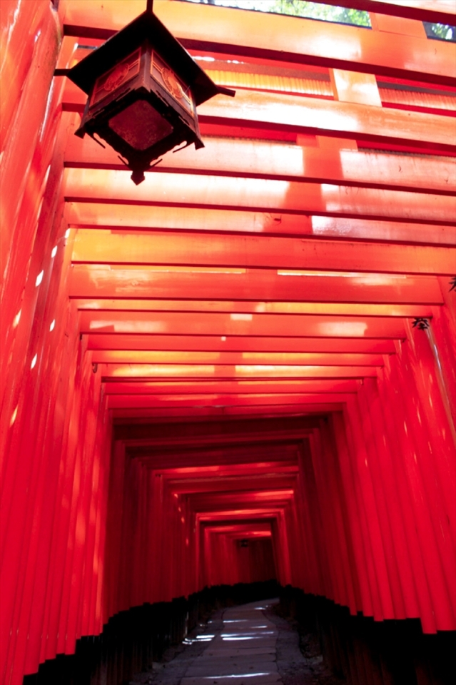 A Guide Through the Shrine

The famous thousand-torii pathway of Fushimi Inari Taisha in Kyoto