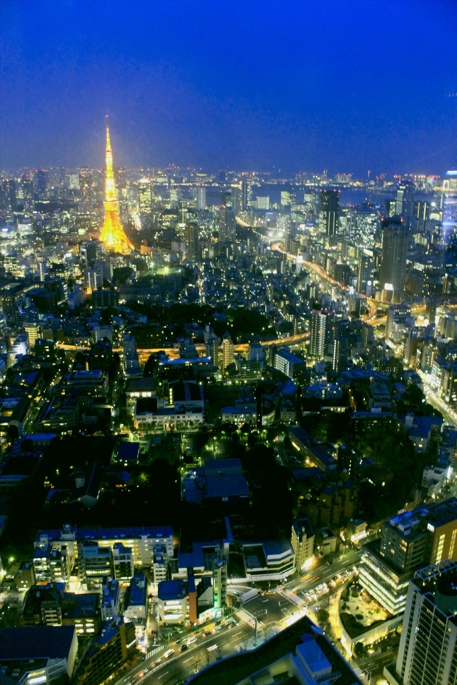 Tokyo Blues
As seen at the highest floor from the Mori tower...the whole city leads the way to the Tokyo Tower, the symbol of optimism amidst the drudgery of everyday life