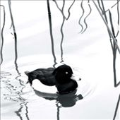 Vigilance at Rest: by phoebeltran, Views[282]