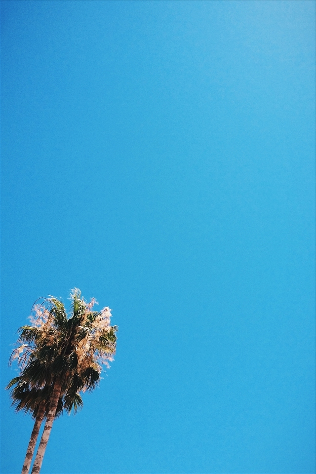 'Oneness' Alburferia, Portugal. 
This was taken laying on the roof of a friends villa and the only thing I saw out of the corner of my eye was this tree. Me always having a camera on me snapped the moment immediately and to date is one of my favorite photos. 