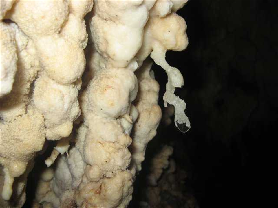 the snow like form in the cave with drops of mineral