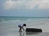 Man who collects some shells for food, Boracay Phils.: by photo123, Views[307]