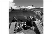 Women process sheep wool outside their tent. : by photobaba, Views[284]