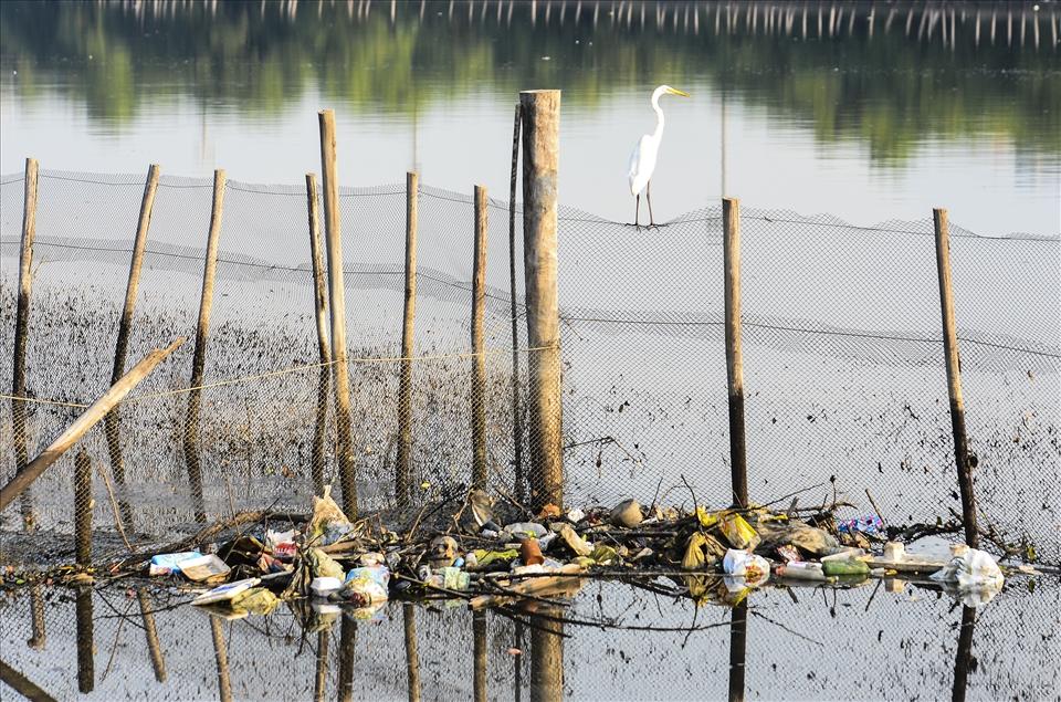Poluição da Baía de Guanabara