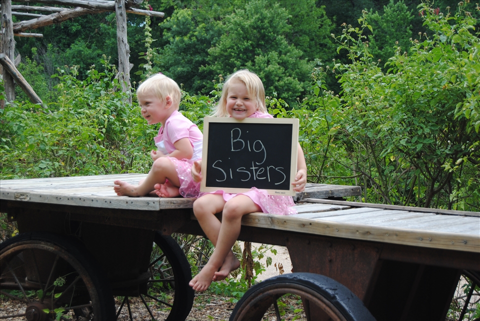 Big Sisters.- Passing by Dallas Botanic Garden I find these precious big sisters