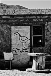 About 170 abandoned nitrate mining towns are scattered all over the desert region. Machuca is occupied with silent chairs; pots filled with dehydrated plants; locked front doors; rusty kitchen utensils and a red tropical painted bird in one door… a flamingo of the “Salar de Atacama”, the largest salt flat in Chile.  : by photonomy, Views[607]
