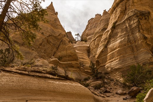 Due to wind and soil erosion, unique rock formations have resulted in New Mexico