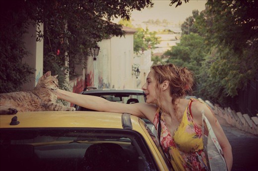 It is difficult to obtain the friendship of a cat