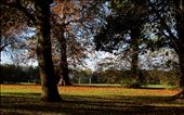 The football field : by photoplusman, Views[199]