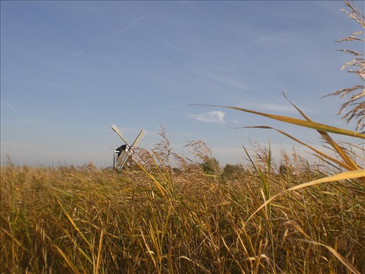 Bike tour through windmills 