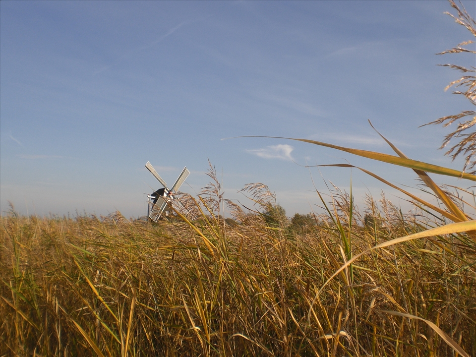 Bike tour through windmills 