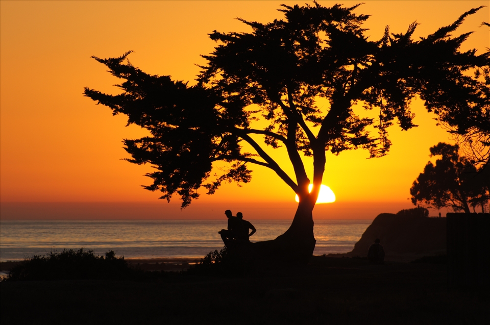 Sunset gazing provides treasured moments that often go overlooked by the masses. This particular tree sits in front of a small home owned by a couple that met during their college days. 