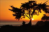 Sunset gazing provides treasured moments that often go overlooked by the masses. This particular tree sits in front of a small home owned by a couple that met during their college days. 