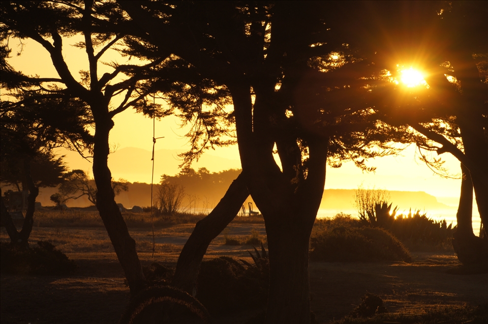  In the 18th century this stretch of coastline was home to the largest population of native Chumash in California. Fast forward over two and a half centuries and the flocks of students of the University of California, Santa Barbara help make this eccentric beach town one of the highest density populations anywhere in the nation. A similar and fitting testament to the beauty of the time and place of the Island View. 
