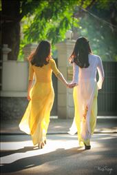 by phungtrung, Views[224]