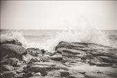 Wave: by phungtrung, Views[246]