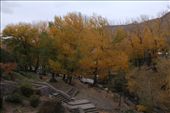 Hamedan - autumn has come: by piglet, Views[266]