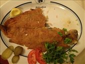 Iran - food - fried fish: by piglet, Views[462]