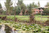 Kashmir - house on Lake Dal: by piglet, Views[371]