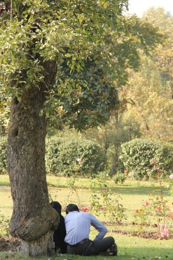 A romantic moment in Srinigar's Nishat Garden