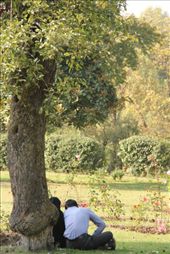 A romantic moment in Srinigar's Nishat Garden: by piglet, Views[481]