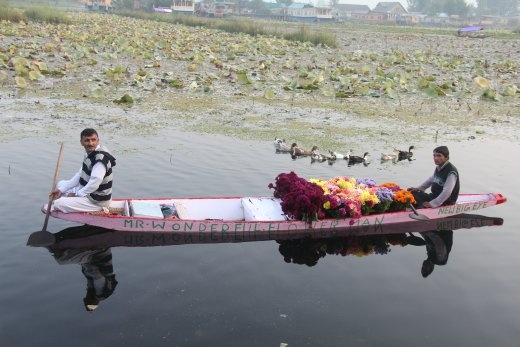 Kashmir flower peddler
