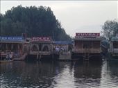 Kashmir houseboats in the sunset: by piglet, Views[287]
