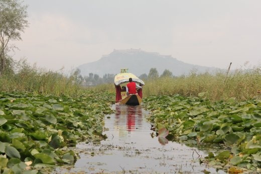 Kashmir - a ride in Lake Dal
