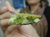 A slice of the baklava with clotted cream: by piglet, Views[162]