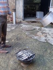 Grilling fish in the courtyard: by piglet, Views[229]