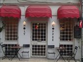 Relaxing coffee shop with as many cats as human customers: by piglet, Views[481]