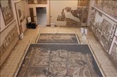 Turkey - Antioch - mosaics at the Archaeological Museum: by piglet, Views[932]