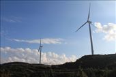 Turket - Seleucia Pieria - wind farms: by piglet, Views[220]