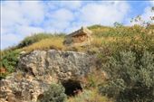 Turkey - Seleucia Pieria - sarcophagus on the mountain: by piglet, Views[313]