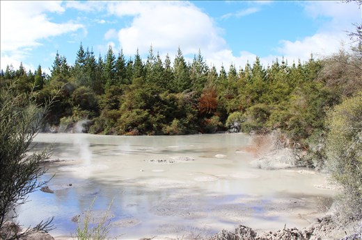 Muddy Matter - Rotorua