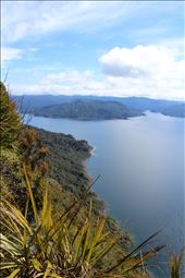Peacefulness at Lake Waikaremoana: by pilgrim, Views[224]