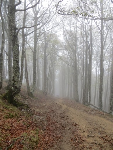 Cloudy Day in the Pyrenees