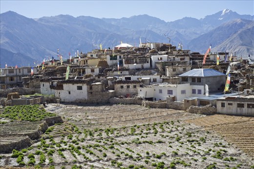 Small mountain village, Nako. Lying in the rain shadow region and surrounded by mind bogglingly harsh terrain.