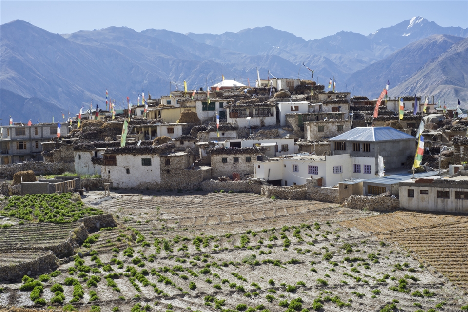 Small mountain village, Nako. Lying in the rain shadow region and surrounded by mind bogglingly harsh terrain.