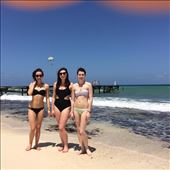 by piperbowie, Views[375]