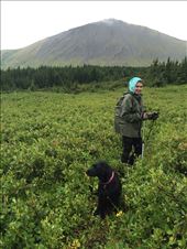 by piperbowie, Views[382]