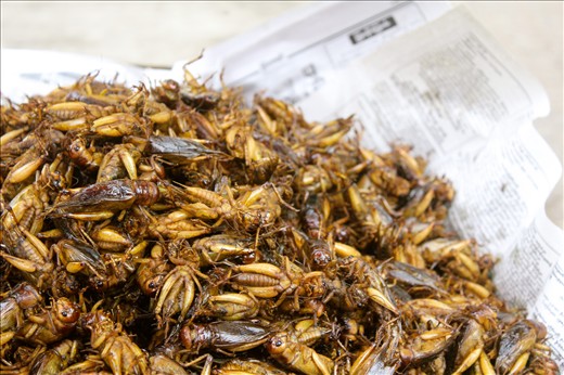 A woman cooks chapattis over a wood fire in her mud brick house.